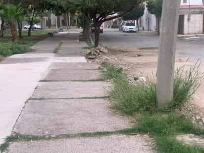 Avanzan en mejora de plaza de Ampliación La Rosita.