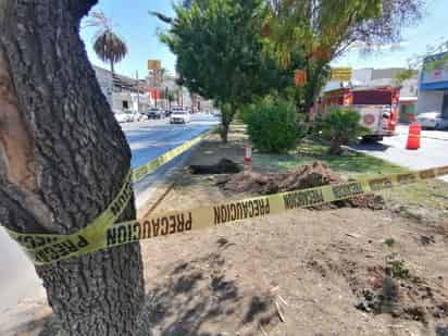 El área fue resguardada con cinta amarilla por 20 minutos.