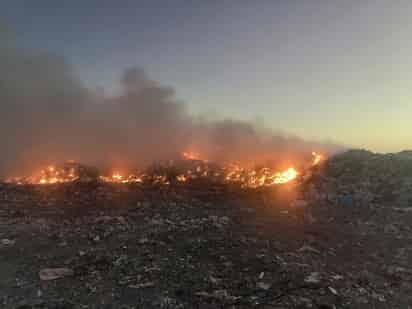 El cuerpo de Bomberos del municipio tardó alrededor de ocho horas en extinguir el fuego.
