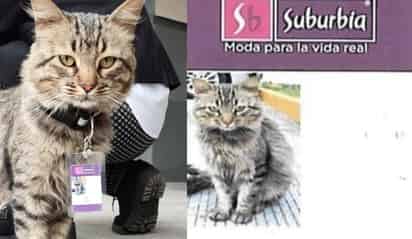 (ESPECIAL)