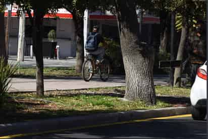 Señalan que las mejores prácticas internacionales son con la ciclovía en el arroyo vehicular y al lado derecho. (EL SIGLO DE TORREÓN)