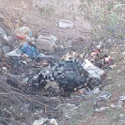 El cuerpo del hombre fue localizado cerca de las parcelas en avanzado estado de descomposición.