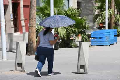 Regresan las temperaturas superiores a los 40 grados centígrados a La Laguna.