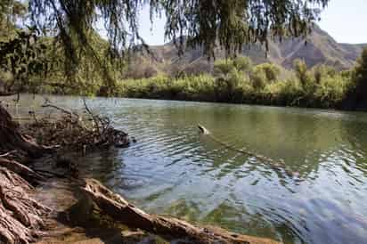 Un alto porcentaje de los derechos de agua en la región lagunera no cuenta con sustento legal, advierte Contraloría Social.