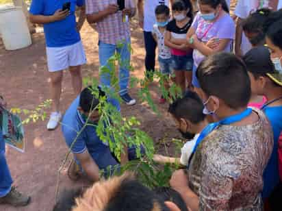 Niños y niñas de Curso de Verano adoptaron un arbolito. (EL SIGLO DE TORREÓN)