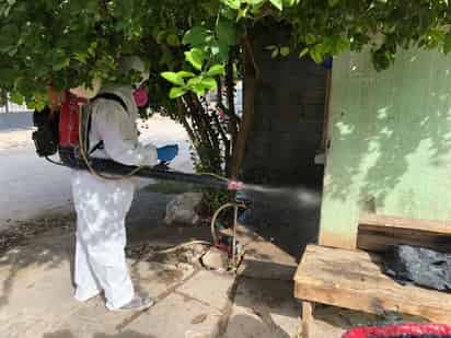Destacan la importancia de evitar tener objetos donde se pueda acumular agua como envases o tinas. (EL SIGLO DE TORREÓN)