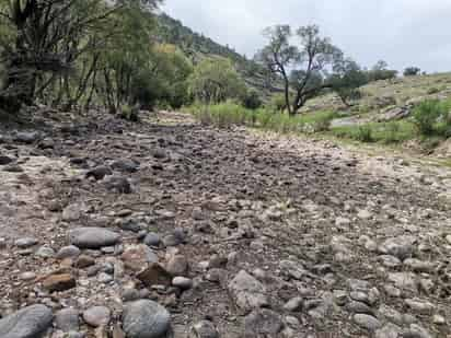 Pese a las lluvias registradas en otras regiones el mes de julio quedó a deber en precipitaciones, hay lugares donde no ha caído ni gota.