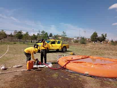 Analizaron su aptitud para convocatorias internacionales. (EL SIGLO DE TORREÓN)