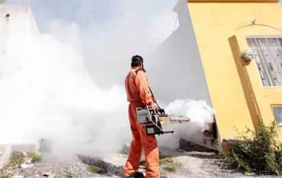 El año pasado Coahuila fue el segundo estado del país con más casos de dengue y este año ha subido la letalidad por rickettsia. (EL SIGLO DE TORREÓN)