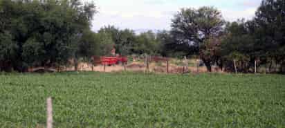 El titular de la Sader estará en Durango para anunciar que el estado podrá entrar al apoyo de fertilizantes al sector social. (EL SIGLO DE TORREÓN)