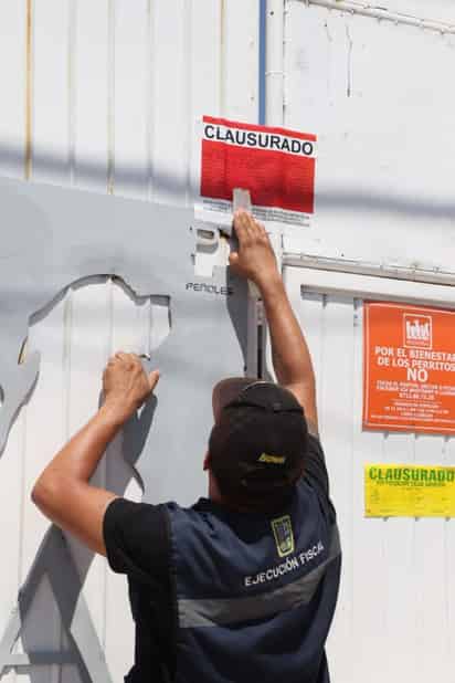 Se limitaron las acciones al interior únicamente para limpiar el lugar y alimentar a los canes.