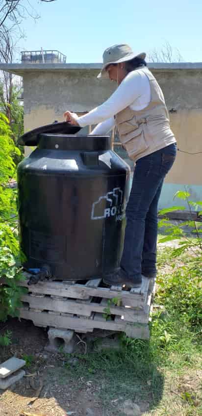 La región Lagunera permanece sin casos positivos de dengue, según el reporte de la Secretaría de Salud del estado de Coahuila.