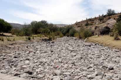 Los productores del sector agrícola han externado su temor por la falta de lluvias y el riesgo que representa para sus sembradíos. (EL SIGLO DE TORREÓN)