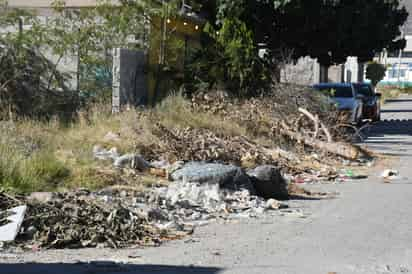 Torreón contará con Policía Ecológica y la opción de trabajo social para los infractores. (EL SIGLO DE TORREÓN)