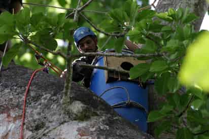 (EFE)