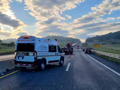 La PROFEPA fue notificada y se encargó de retirar los cuerpos de ambos osos, mismos a los que se les practicará una necropsia a fin de determinar las causas de su muerte.