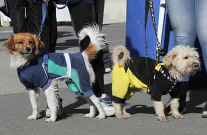 Con esta actividad se busca promover en Torreón la tenencia responsable de mascotas. (EL SIGLO DE TORREÓN)