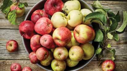 Alimentos nutritivos