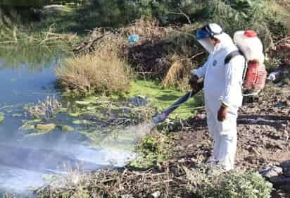 En esta ocasión trabajaron con la aplicación de abate líquido en el agua.