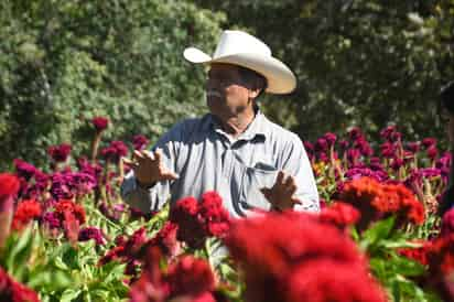 Benjamín sigue siendo parte de la tradición del día de muertos, cultivando la flor representativa de los altares. (FERNANDO COMPEÁN)