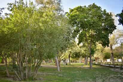 La empresa sigue destinando agua al bosque Venustiano C. (EL SIGLO DE TORREÓN)