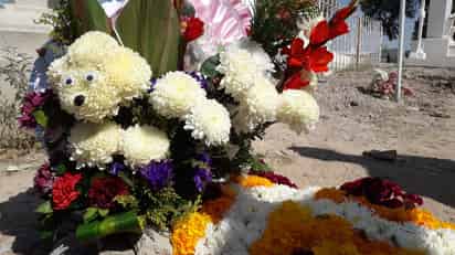 (Foto: FERNANDO COMPEÁN / EL SIGLO DE TORREÓN)