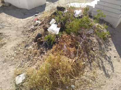 En algunos sitios del lugar prevaleció la maleza y basura. (EL SIGLO DE TORREÓN)