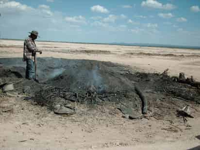 La falta de lluvia, de incentivos, de apoyo para insumo y otros factores, han ocasionado el deterioro de la actividad agrícola en Durango. (EL SIGLO DE TORREÓN)