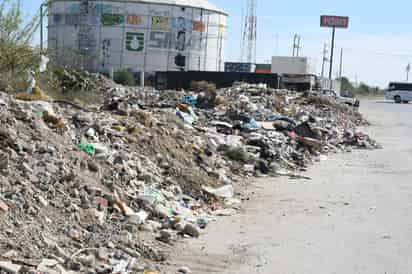 Con esta acción se contribuye a cuidar el medio ambiente, pues el árbol volverá al suelo y aportará nutrientes que la tierra necesita.