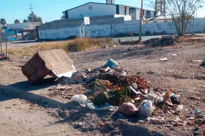 La gente que sea sorprendida tirando basura en plazas y parques, será sancionada.