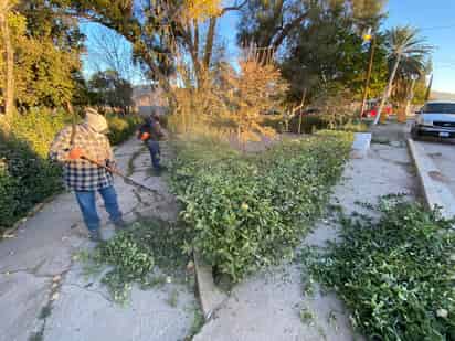 Parques y Jardines realizaron limpieza en ejido 6 de Enero