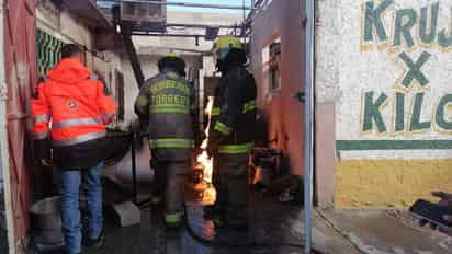 Otra perrita de la misma raza resultó prácticamente ilesa. (EL SIGLO DE TORREÓN)