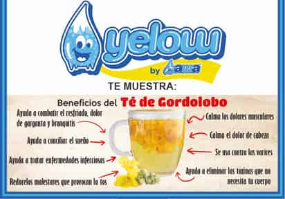 El té de gordolobo ha sido utilizado en la medicina tradicional.