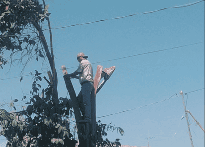 El 28 de febrero es el último día del programa de Poda Libre en Lerdo. (EL SIGLO DE TORREÓN)