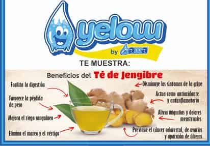 Te animamos a evaluar los múltiples beneficios del té de jengibre.