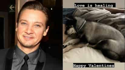 En medio de su difícil recuperación, Jeremy Renner está esperanzado y celebra San Valentín con su perrito