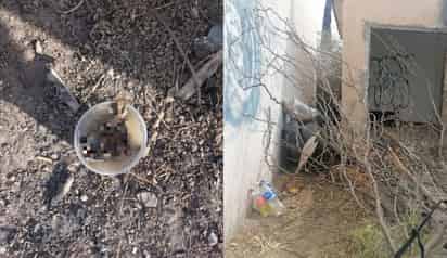 Dentro de la vivienda que habitaba, fueron localizados restos de animales muertos. (EL SIGLO DE TORREÓN)