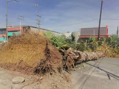 Torreón registró fuertes vientos el pasado jueves. (EL SIGLO DE TORREÓN)