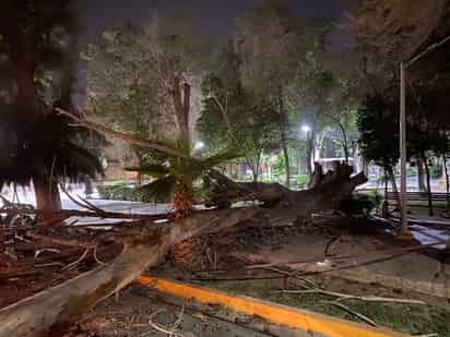 Por el momento, se mantiene un saldo blanco en cuanto a reportes de accidentes ciudadanos, informaron autoridades. (EL SIGLO DE TORREÓN)