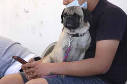 Se pretende dotar a los 39 Ayuntamientos de recursos para emprender estas acciones. (EL SIGLO DE TORREÓN)