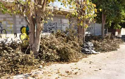 Todas las personas que originen residuos de poda y tala de árboles deberán trasladarlos o asegurarse de que quienes les ofrezcan el servicio de traslado, lo lleven hasta el relleno sanitario. (CORTESÍA)