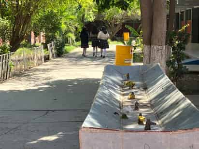 Hablarán a estudiantes de la EST 1 sobre la importancia del agua; plantel clausura bebederos. (EL SIGLO DE TORREÓN)