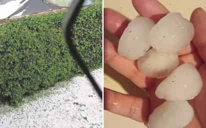 La granizada inició cerca de las 17:00 horas y se prolongó hasta el anochecer. (ESPECIAL)