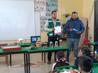 Todas las actividades a desarrollar en las escuelas se basarán en el curso Aprendiendo del árbol. (ARCHIVO)