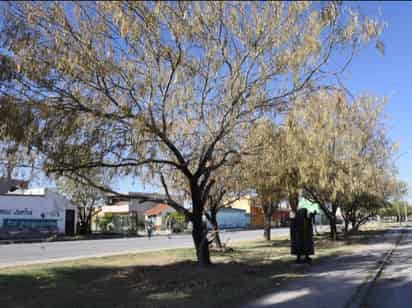 (EL SIGLO DE TORREÓN)