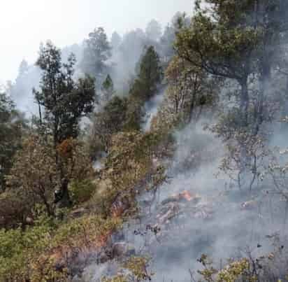 De acuerdo con el más reciente informe de la Conafor, hay 21 combatientes abocados al control de estos incendios. (EL SIGLO DE TORREÓN)