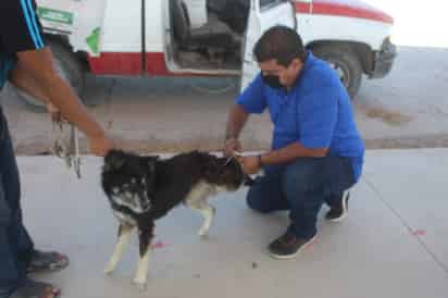(ARCHIVO)