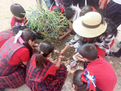 Sensibilizan a niños en el cuidado del medio ambiente. (CORTESÍA)