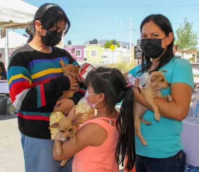 La atención se ofrecerá de 10 de la mañana a 1 de la tarde, en la plaza de los Pistaches, al oriente de la ciudad.