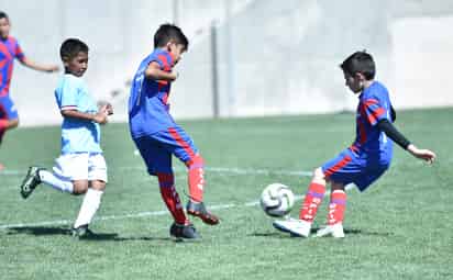 Decenas de equipos locales, ya tramitaron su respectivo registro. (Archivo)
